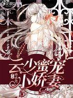 雲少蜜寵小嬌妻