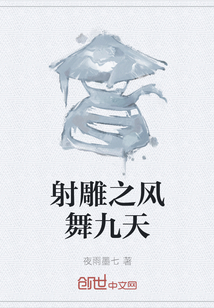 射鵰之風舞九天