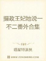 攝政王妃她說一不二番外合集