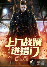 上門戰婿進錯門