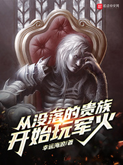從沒落的貴族開始玩軍火