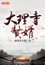 大理寺贅婿