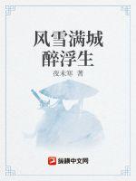 風雪滿城醉浮生