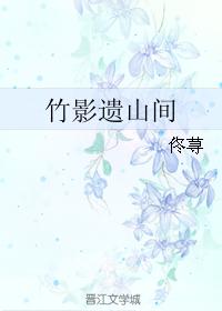 竹影遺山間