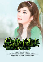 總裁小逃妻