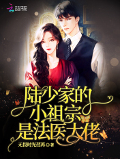 陸少家的小祖宗是法醫大佬