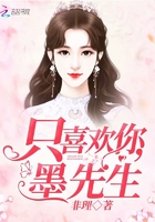 我只喜歡你墨先生