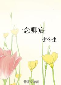 一念卿宸