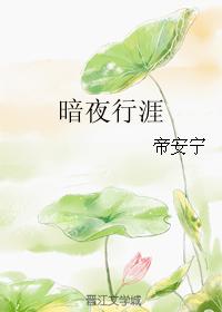 暗夜行涯