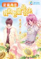 甜蜜再戀：我的老婆是公主