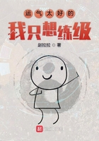 運氣太好的我只想練級