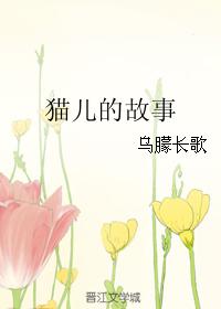 貓兒的故事
