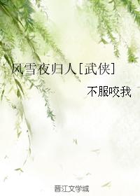 風雪夜歸人[武俠]