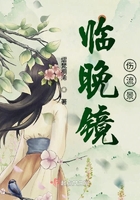 臨晚鏡傷流景