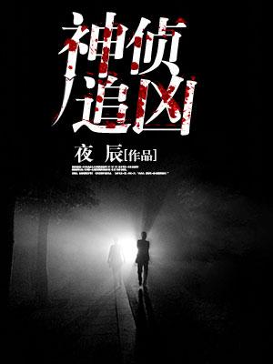 神偵追兇
