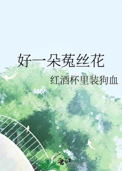 好一朵菟絲花