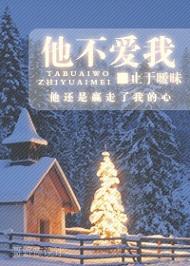他不愛我