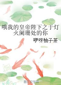 哦我的皇帝陛下之於燈火闌珊處的你