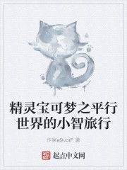 精靈寶可夢之平行世界的小智旅行