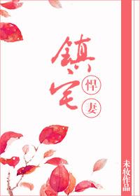 鎮宅悍妻