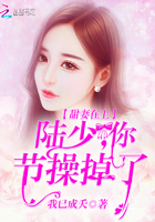 甜妻在上:陸少,你節操掉了