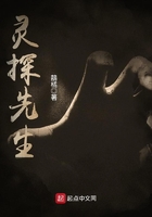 靈探先生