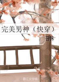 完美男神（快穿）