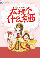 太子是個什麼東西