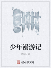 少年漫遊記