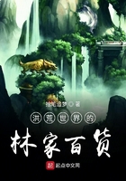 洪荒世界的林家百貨