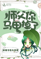 師父你馬甲掉了