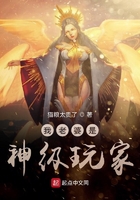 我老婆是神級玩家