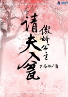 傲嬌公主請夫入甕