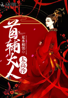 首輔大人太高冷