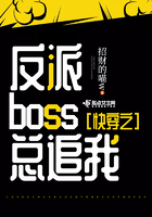 快穿之反派boss總追我