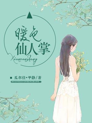 暖色仙人掌