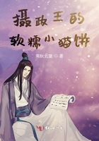 攝政王的軟糯小貓餅