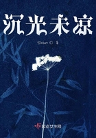 沉光未涼