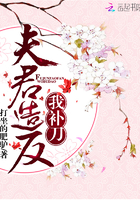 夫君造反我補刀