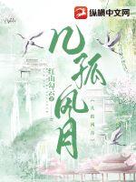 幾孤風月