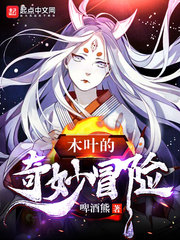 木葉的奇妙冒險