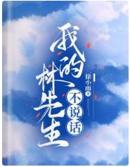 我的林先生不說話