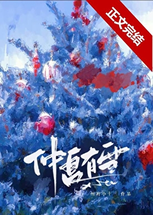 仲夏有雪[先婚後愛]
