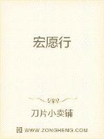宏願行