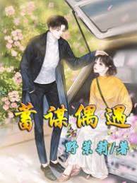 蓄謀偶遇